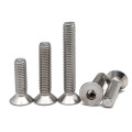 Stainless Steel SS304 SS316 Hex Socket CSK Head Screw DIN7991